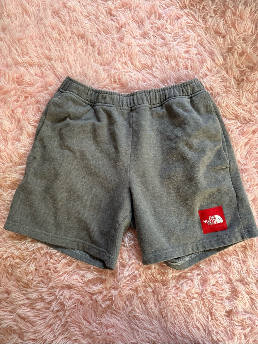 The North Face Boys  Gray Fleece Shorts - Casual Comfort